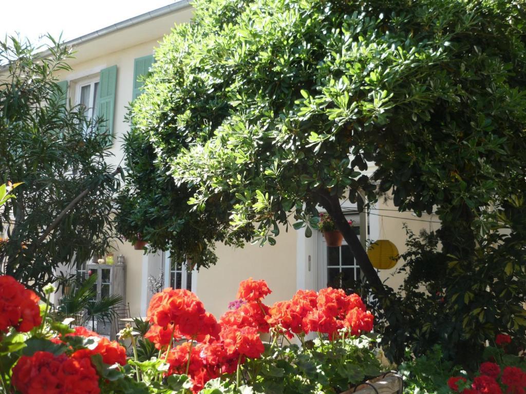 Logis Hotel Villa Victorine Nizza Exterior foto